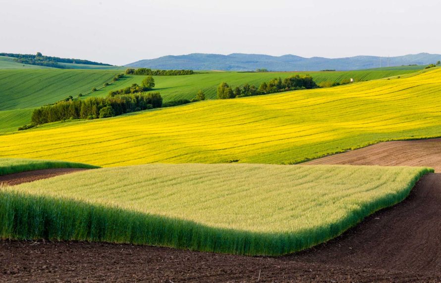 Paysage de campagne